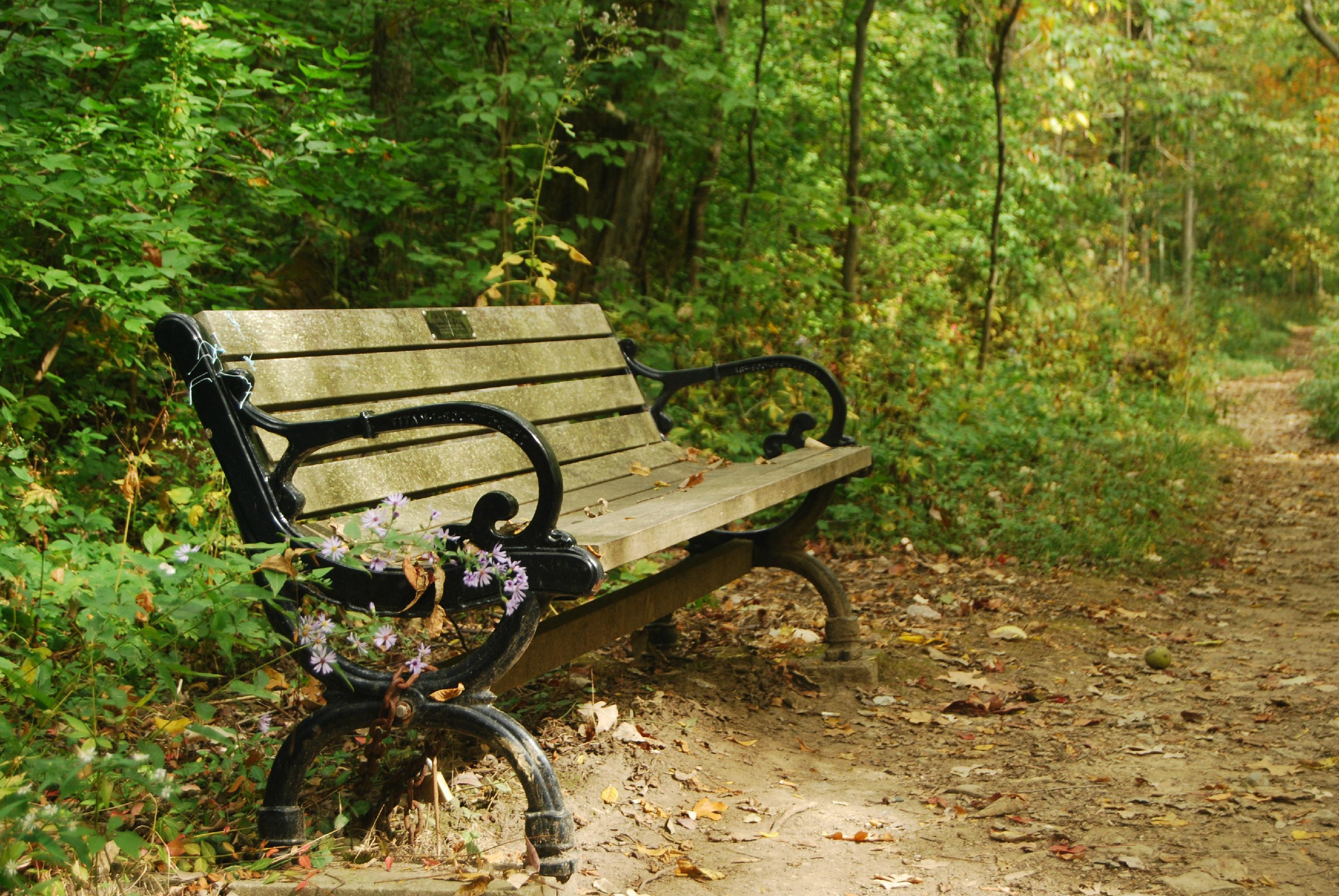 2014 Fall 262 (1)