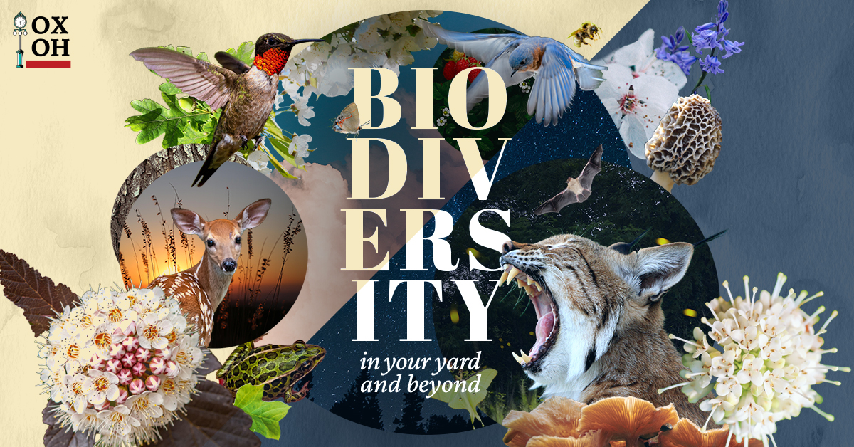 Biodiversity Main Collage-blog header