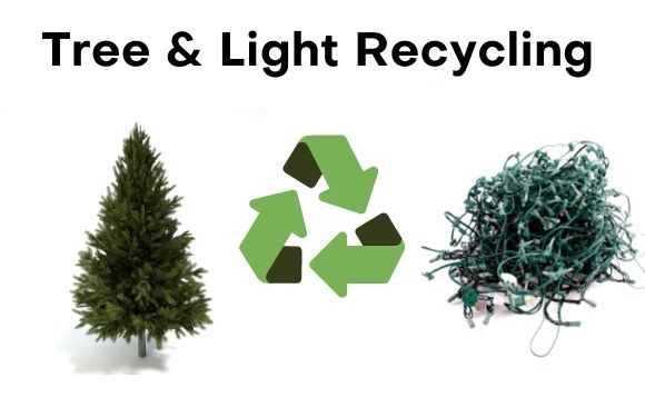 Holiday Recycling